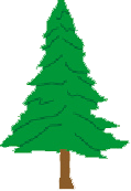 pinetree2 copy
